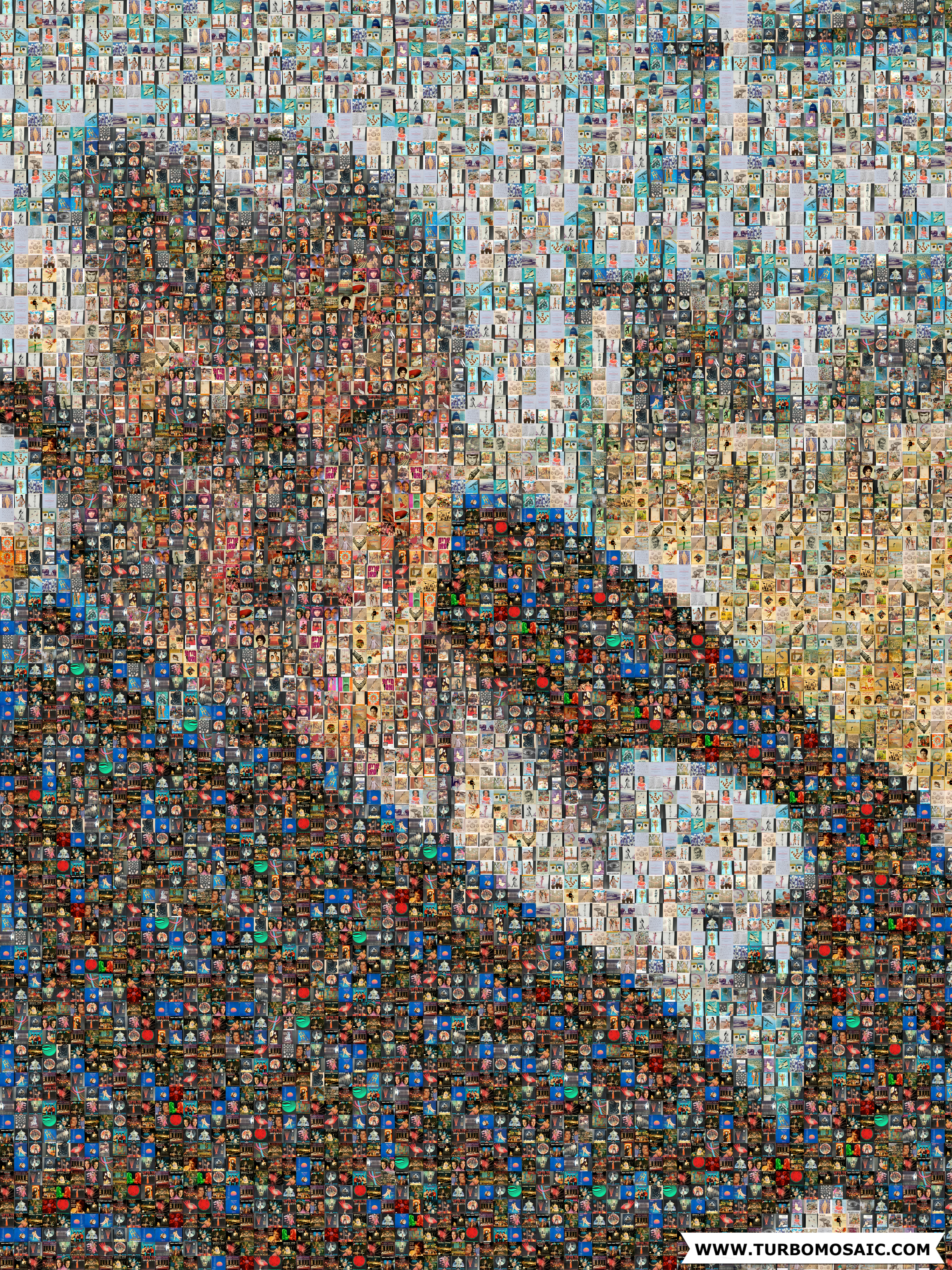 A Life Through the Lens Mosaic